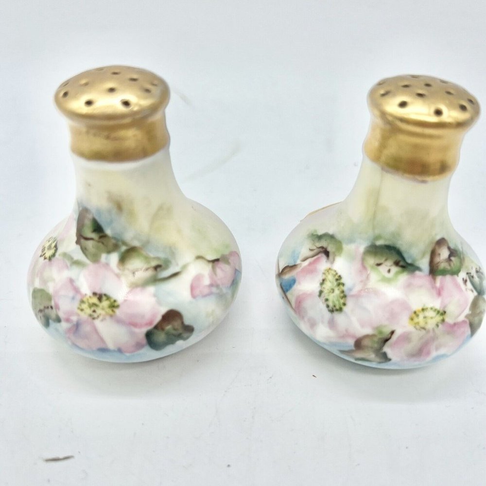 Vintage BAVARIA Salt & Pepper Shaker Set Hand Painted No Stoppers